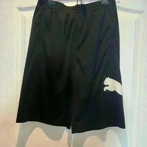 Puma Speed Boys' Performance Shorts JR  Size XL - Picture 13 of 13